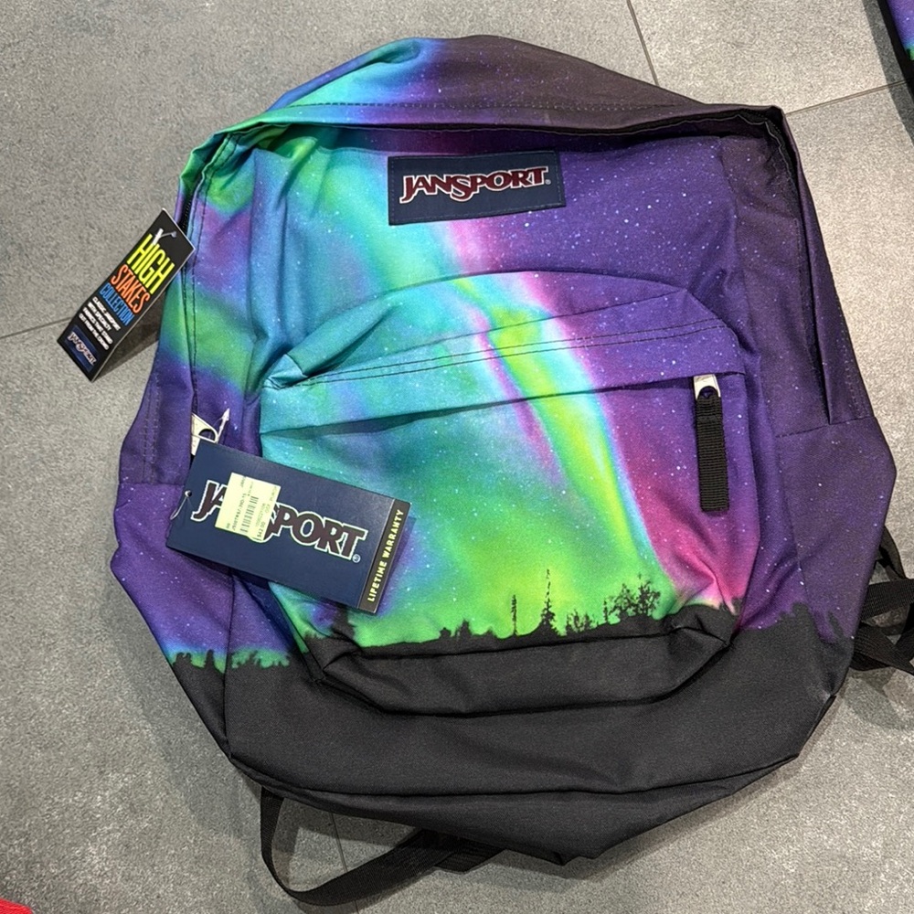 JanSport Northern Lights Backpack